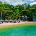 Upscale Addiction Treatment: A Comprehensive Review