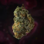 Heroin and Marijuana Detox: Myths vs Reality